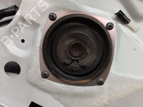 Right front door NISSAN CABSTAR E (TL_, VL_)  | BP25005619C3 