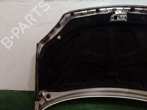 Hood TATA INDICA 1.4 | BP20689359C1