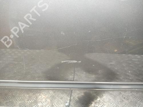 Left front door HYUNDAI ACCENT II (LC)  | BP11958092C2 