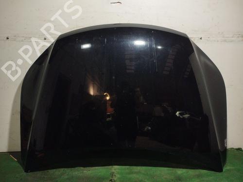 Used Hood VW TIGUAN (5N_) 2.0 TDI 4motion (170 hp) 29481204
