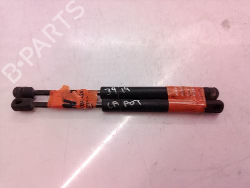 Hood lift support AUDI TT (8N3) 1.8 T | BP14303920C139 