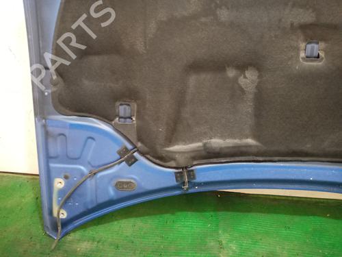 Hood RENAULT LAGUNA III (BT0/1) 2.0 dCi GT (BT11, BT1E, BT1N) | BP29180979C1 