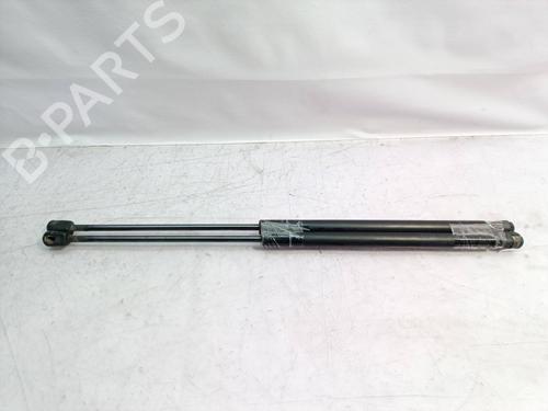 Right rear shock absorber SEAT IBIZA II (6K1)  | BP14304099M19 
