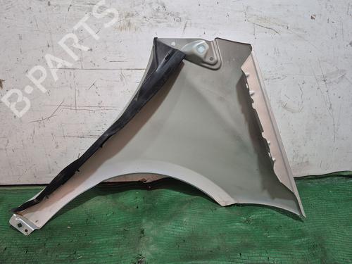 Left front fenders MERCEDES-BENZ A-CLASS (W169) A 180 CDI (169.007, 169.307) | BP29355131C41 