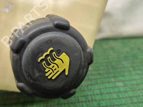 Expansion tank NISSAN QASHQAI / QASHQAI +2 I (J10, NJ10, JJ10E) 1.5 dCi | BP27270820C120 