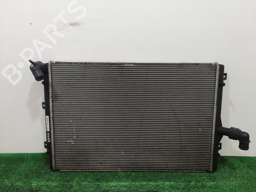 Water radiator VW PASSAT B7 (362) [2010-2015]  13011277