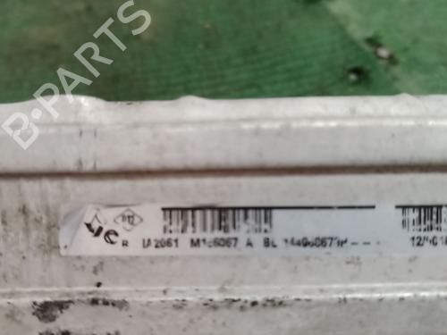 Intercooler RENAULT MEGANE III Hatchback (BZ0/1_, B3_)  | BP27833326M30 