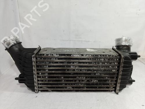 Intercooler FIAT SCUDO Bus (270_, 272_) 2.0 D Multijet (120 hp) 9735110