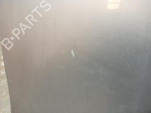 Right front door FIAT BRAVO II (198_) 1.9 D Multijet (198AXB1A) | BP11140532C3 