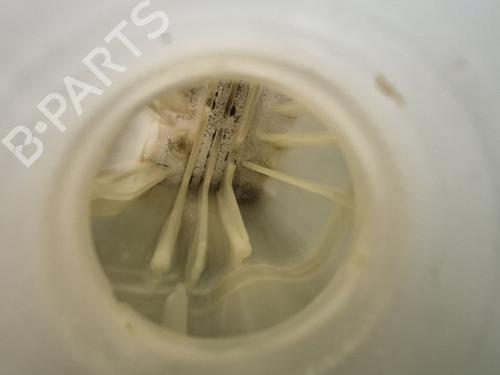 Expansion tank NISSAN QASHQAI / QASHQAI +2 I (J10, NJ10, JJ10E) 1.5 dCi | BP27270820C120 