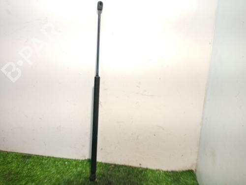 Tailgate lift support CITROËN C4 Picasso I MPV (UD_)  | BP17001060C138 