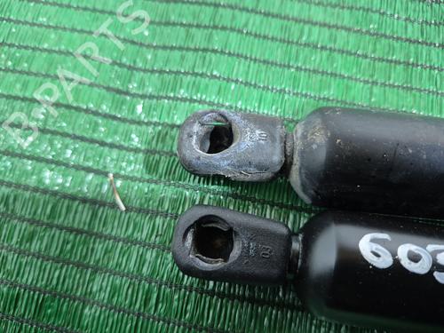 Amortiguador portón/maletero VW SHARAN (7M8, 7M9, 7M6) 1.9 TDI | BP30642125C138