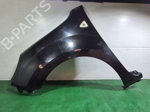 left-front-fenders-renault-kangoo-grand-kangoo-ii-kw01_-2008-31134117 main image