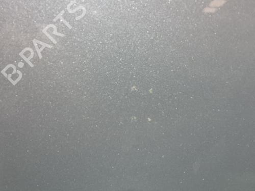 Left front door MERCEDES-BENZ A-CLASS (W169) A 180 CDI (169.007, 169.307) | BP29445525C2 