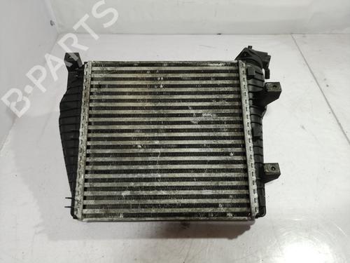 Intercooler VW SHARAN (7M8, 7M9, 7M6) [1995-2010]  10255165