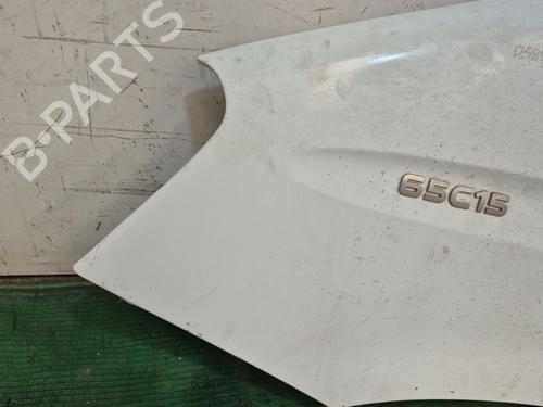 Left front fenders IVECO DAILY IV Van 65C15 | BP28210444C41