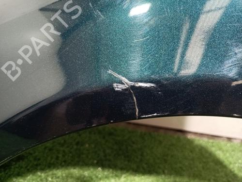 Left front fenders RENAULT CLIO II (BB_, CB_)  | BP16165544C41 