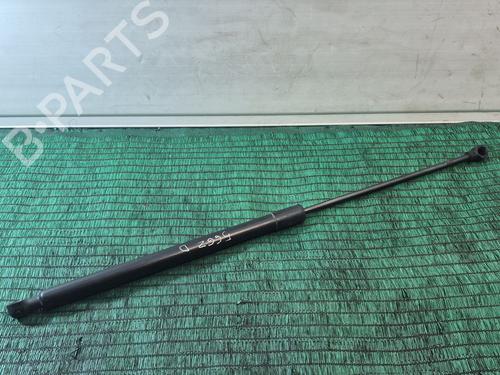 Used Hood lift support DACIA SANDERO II TCe 90 (B8M1, B8MA, B8AC) (90 hp) 30847668