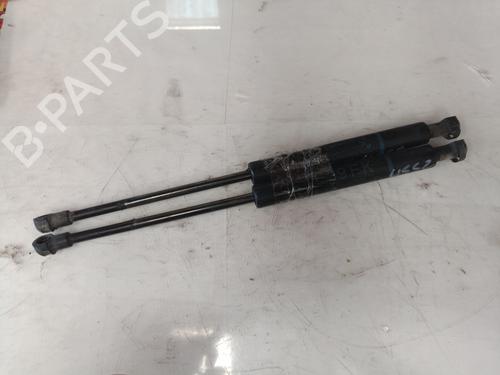 Hood lift support BMW 5 (E39) 530 d | BP14304231C139 