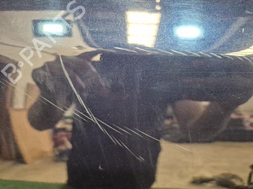 Right rear door MERCEDES-BENZ E-CLASS (W211) E 220 CDI (211.006) | BP26708584C5 