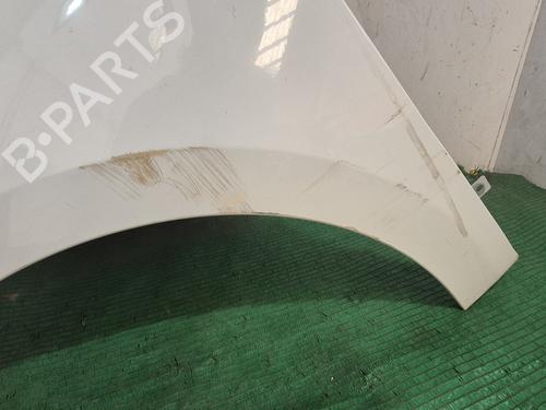 Left front fenders RENAULT MEGANE III Hatchback (BZ0/1_, B3_)  | BP29641060C41 
