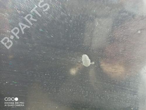 Hood BMW 3 (E90) 316 d | BP11716598C1