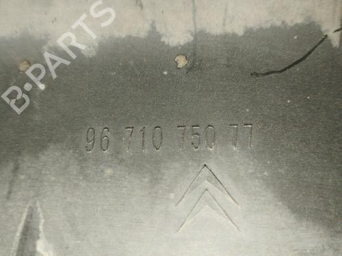 Rear bumper CITROËN C4 II (NC_) 1.6 HDi 90 | BP31097074C8