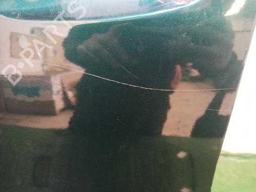 Left front door MERCEDES-BENZ E-CLASS (W211) E 320 CDI (211.026) | BP30176984C2