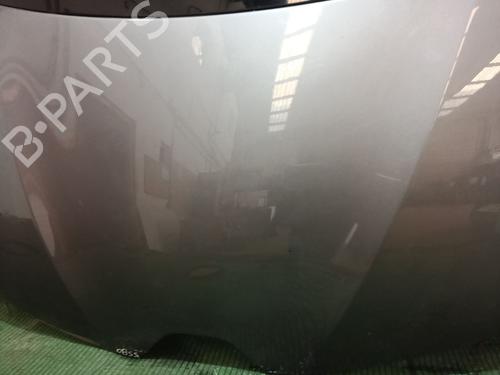 Hood RENAULT SCÉNIC III (JZ0/1_)  | BP22354284C1 