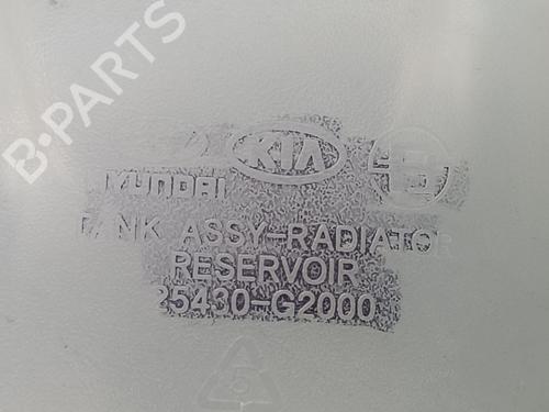 Expansion tank HYUNDAI IONIQ (AE) 1.6 GDI Hybrid | BP29250663C120 
