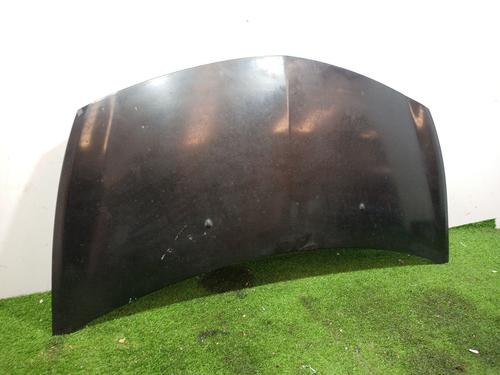 Hood RENAULT CLIO III (BR0/1, CR0/1) 1.2 16V (BR02, BR0J, BR11, CR02, CR0J, CR11) | BP16929361C1 
