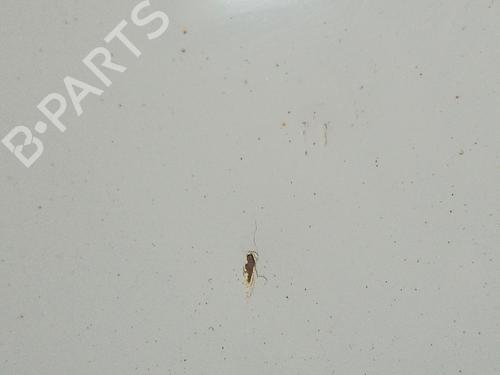 Hood CHEVROLET CRUZE (J300) 2.0 CDI | BP30168717C1 