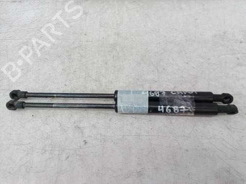 Tailgate lift support BMW 5 (E39) 530 d | BP14304198C138 