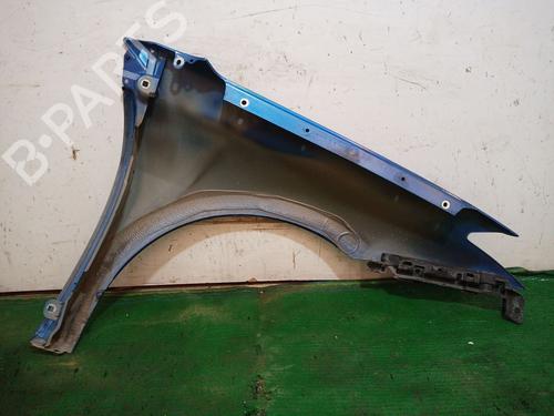 Left front fenders RENAULT LAGUNA III (BT0/1) 2.0 dCi GT (BT11, BT1E, BT1N) | BP29276872C41 