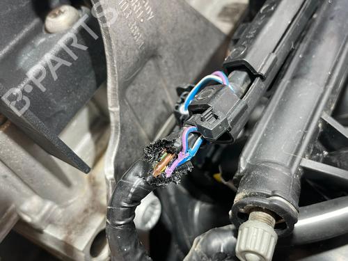 Engine VW POLO (9N_, 9A_) 1.4 16V | BP9647196M1 