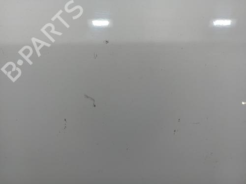Left front door FIAT GRANDE PUNTO (199_)  | BP13407902C2 