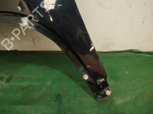 Left front fenders VW TIGUAN (5N_) 2.0 TDI 4motion | BP29479635C41 