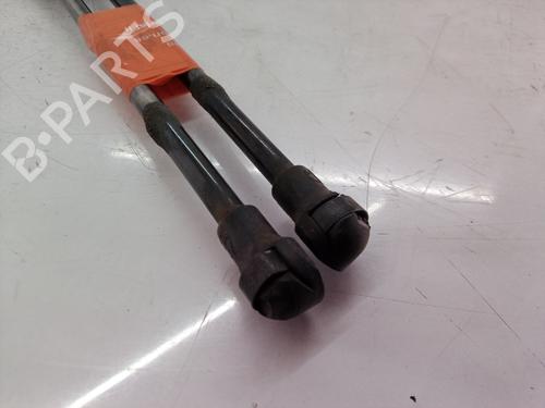 Tailgate lift support BMW X5 (E53)  | BP14304035C138 