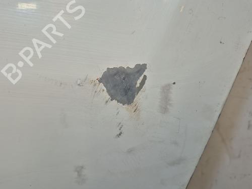 Left front door NISSAN NT400 CABSTAR (F24M) 28.12, 32.12, 35.12 (F91AN, F24M) | BP30273486C2 