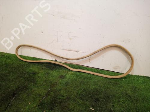 Rubber door seal BMW 7 (E65, E66, E67)  | BP17972446C142 