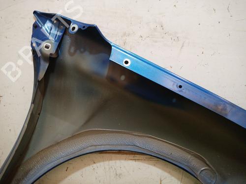 Left front fenders RENAULT LAGUNA III (BT0/1) 2.0 dCi GT (BT11, BT1E, BT1N) | BP29276872C41 