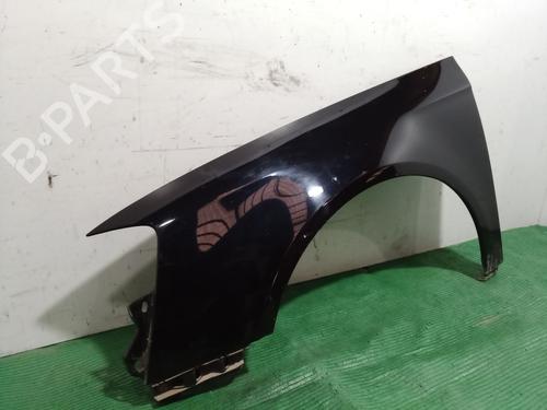 Left front fenders VW PASSAT B6 (3C2) 1.8 TSI | BP29276796C41 