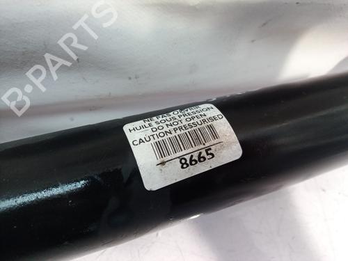 Left front shock absorber PEUGEOT 407 (6D_)  | BP9539104M16 