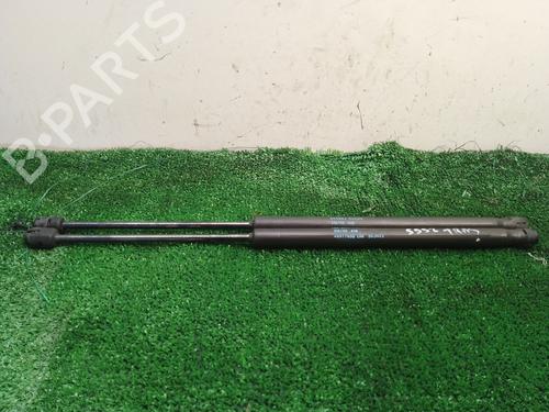 Used Tailgate lift support LANCIA YPSILON (843_) 1.2 (843.AXB1A) (80 hp) 21191841