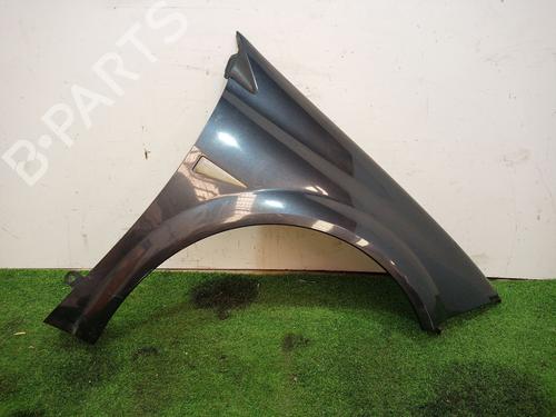 Used Right front fenders RENAULT MEGANE II (BM0/1_, CM0/1_) [2001-2012]  17002034