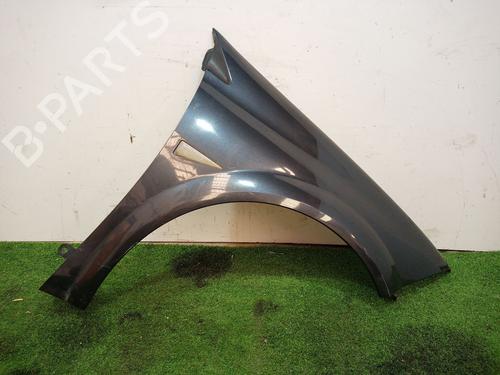 Guarda-lamas direito RENAULT MEGANE II (BM0/1_, CM0/1_) [2001-2012]  17002034