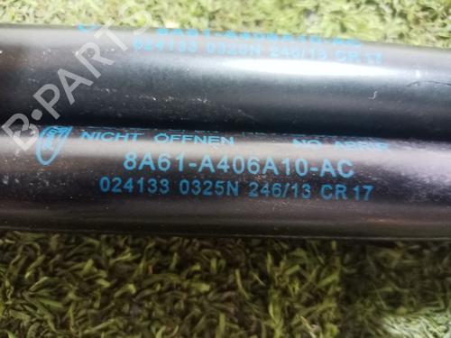 Tailgate lift support FORD FIESTA VI (CB1, CCN) 1.0 EcoBoost | BP24843158C138 