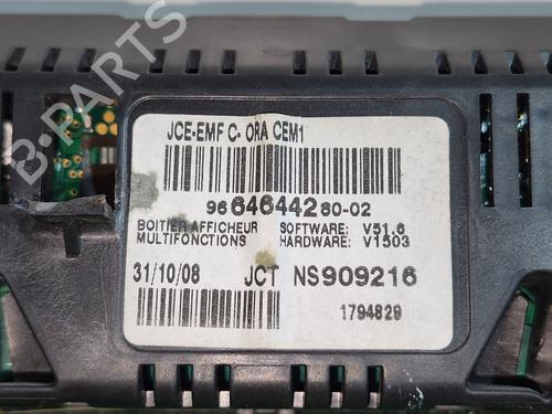 Display monitor PEUGEOT EXPERT Tepee (VF3X_) 2.0 HDi 120 | BP30642139C48