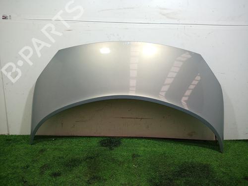 Used Hood RENAULT SCÉNIC II (JM0/1_) [2003-2010]  17001067