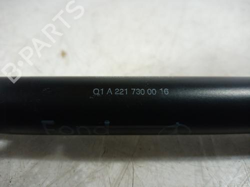 Hinge/Door check strap MERCEDES-BENZ S-CLASS (W221, V221)  | BP14304450C146 